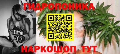 ПСИЛОЦИБИНОВЫЕ ГРИБЫ Лесосибирск