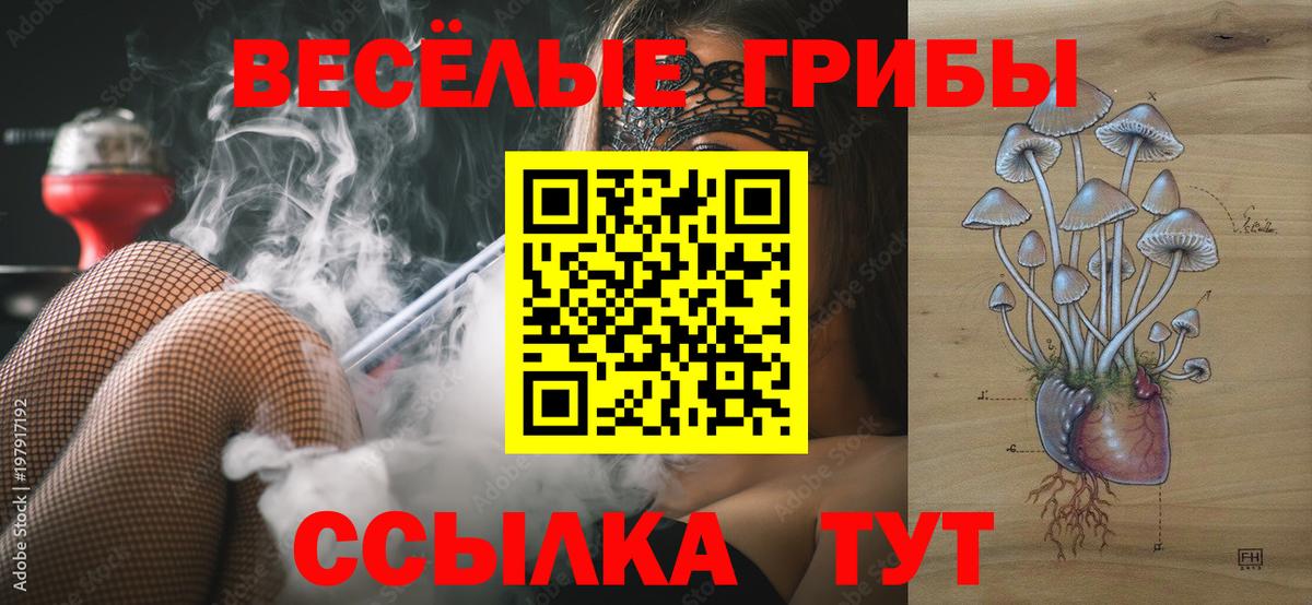 Галлюциногенные грибы мухоморы Усть-Джегута