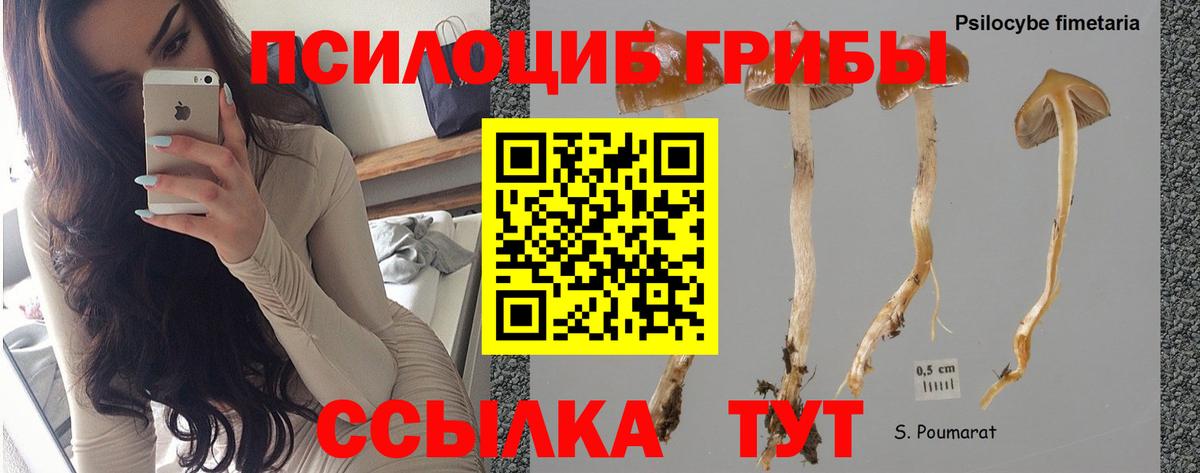Усть-Джегута  Галлюциногенные грибы GOLDEN TEACHER  Вход с VPN  Галлюциногенные грибы MAGIC MUSHROOMS 