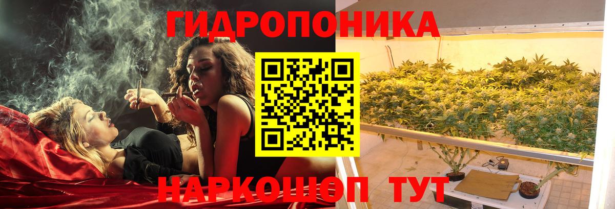 Бошки марихуана White Widow  Каннабис семена  Усть-Джегута  Вход с VPN  Бошки Шишки THC 21% 